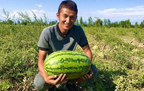 小康吃瓜视频在线观看免费,带你领略网络短视频的魅力 第2张 小康吃瓜视频在线观看免费,带你领略网络短视频的魅力 第2张